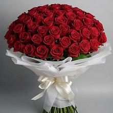 Букет 101 Красная роза Блэк Мэджик #REPLACE_PRED# Красной Поляне Краснодарского края