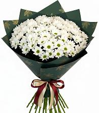 Букет цветов из:  Хризантемы #REPLACE_PRED# Красной Поляне Краснодарского края